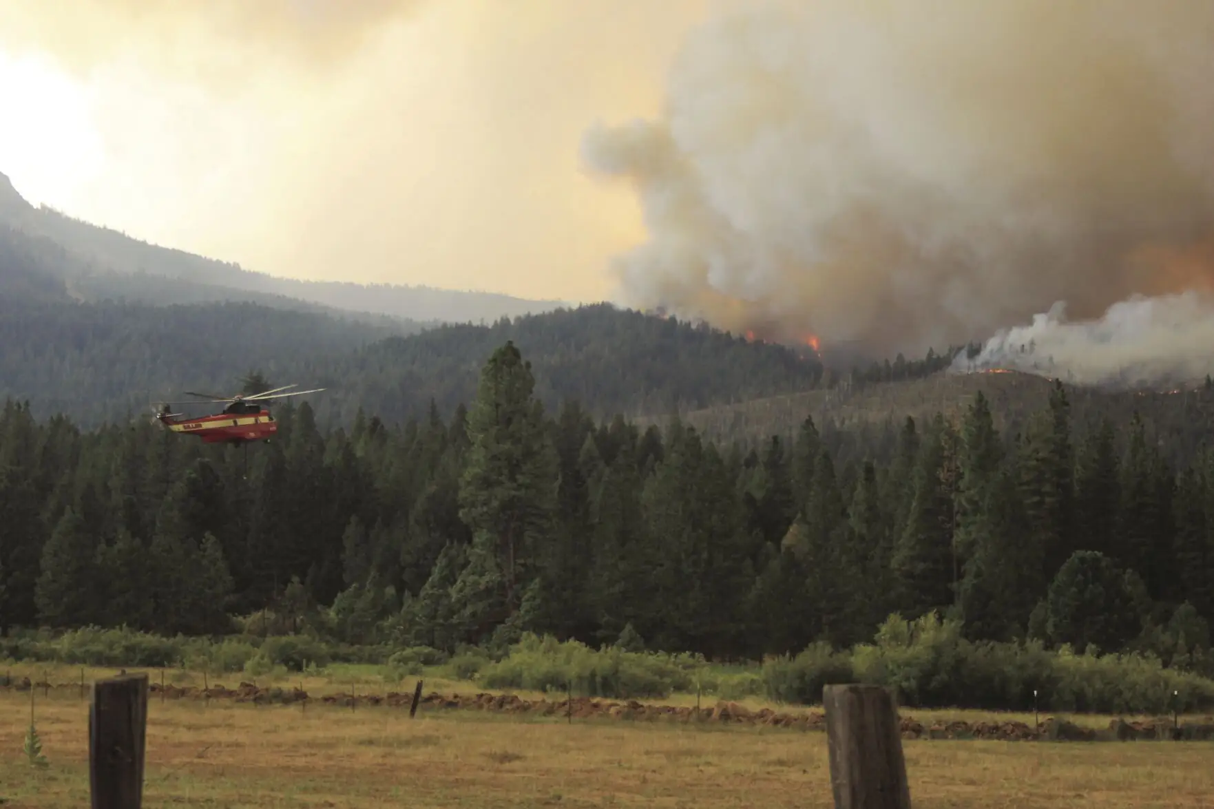 CA’s Dixie Fire puts Ag Pass program to test