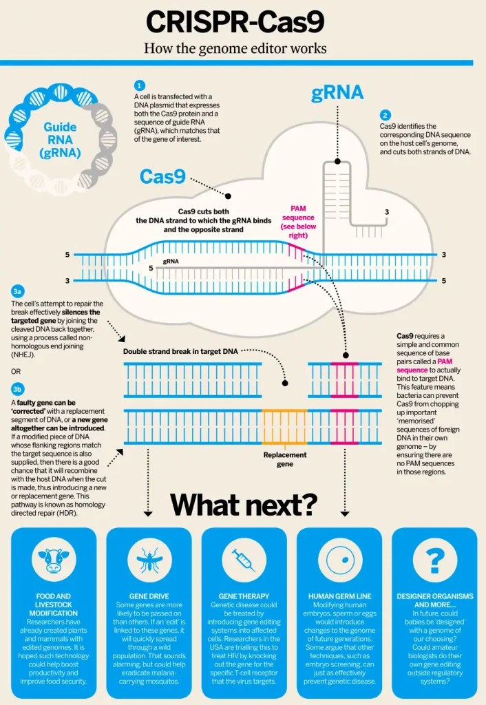 Gene-editing to be regulated as GMOs in EU