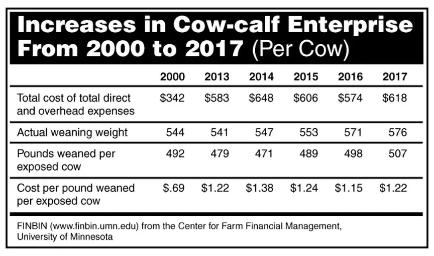 BeefTalk: Cost per pound of calf is struggling