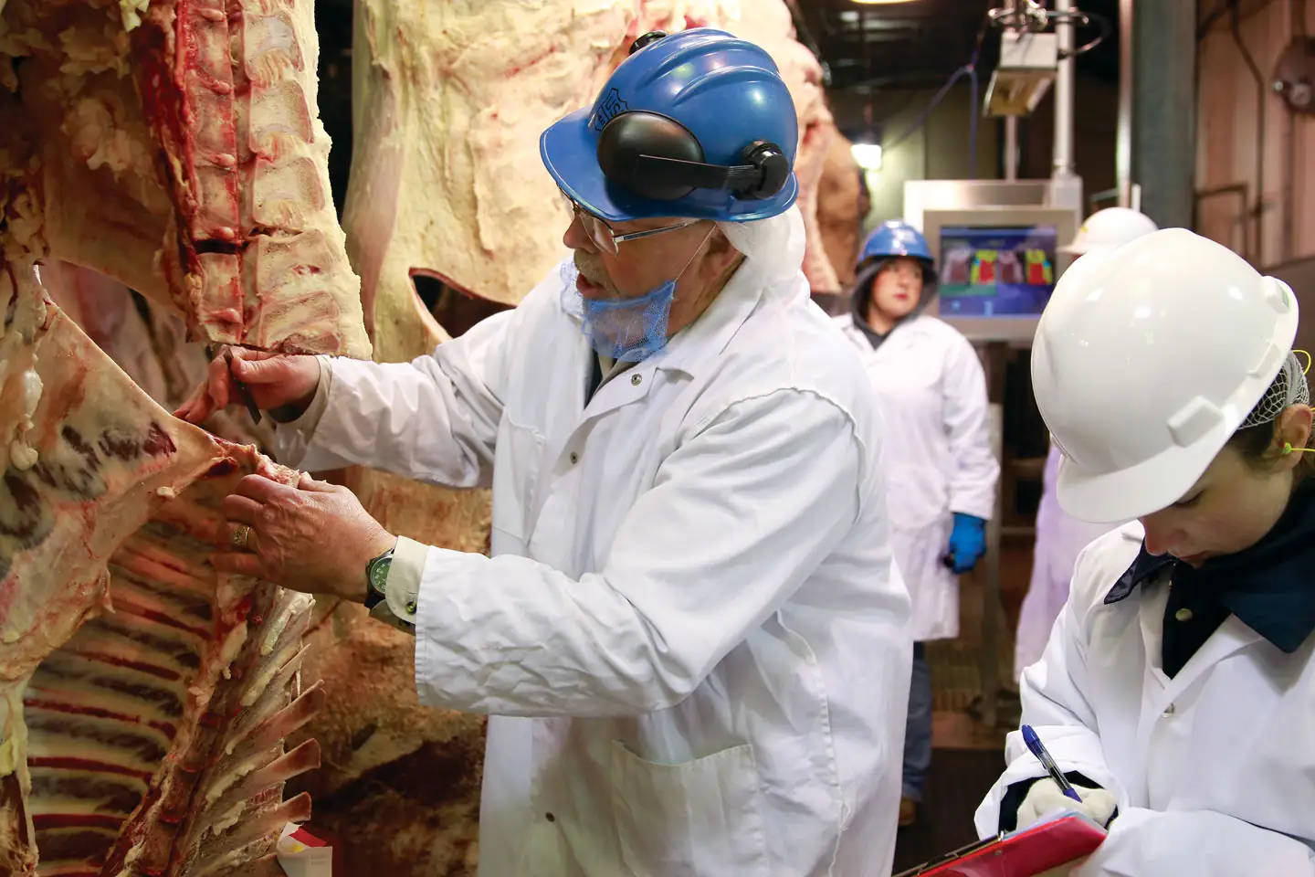 Mexico proposes meat grades