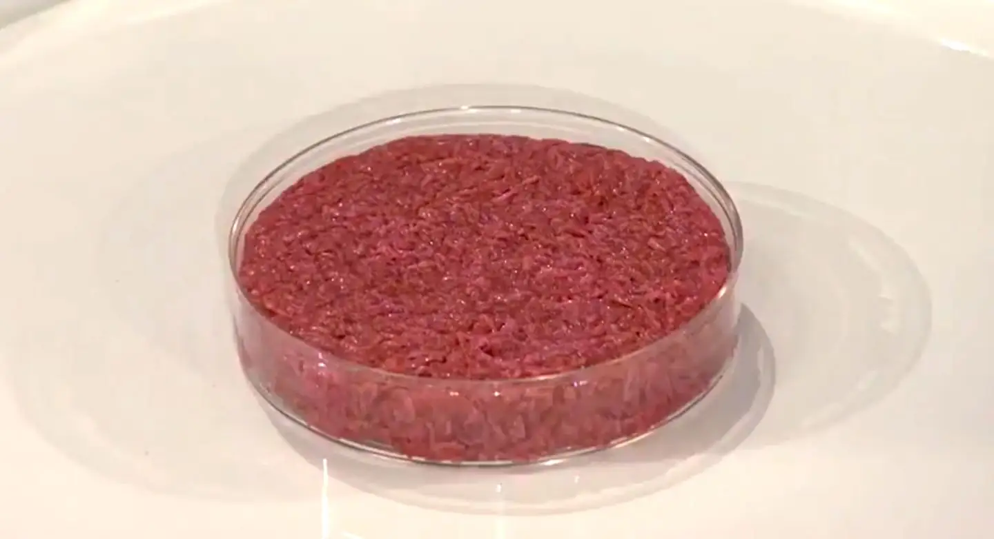 Meeting to discuss “fake” meat planned