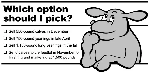 BeefTalk: Just when does one let the calves go?