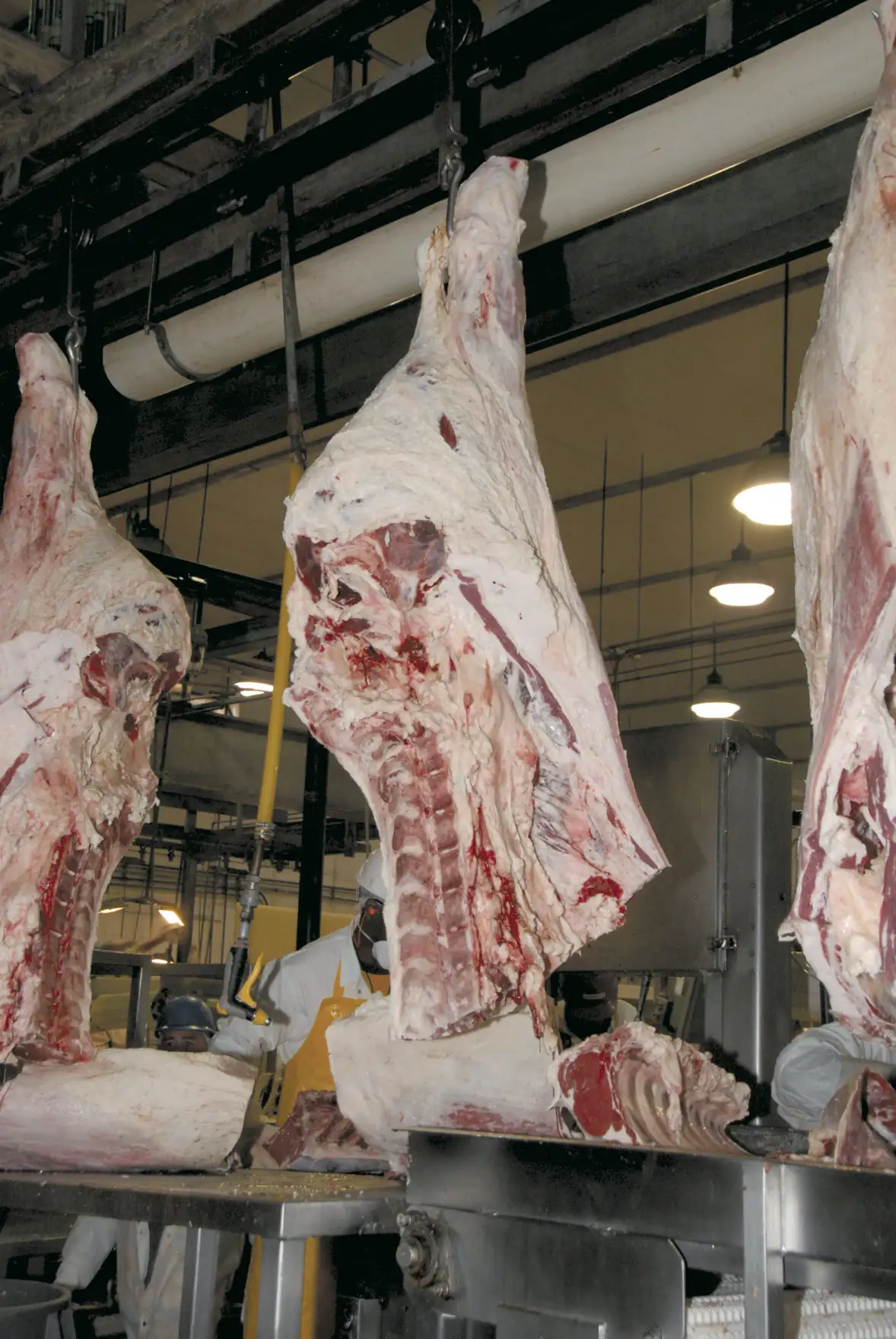 China proposes hormone residue standards