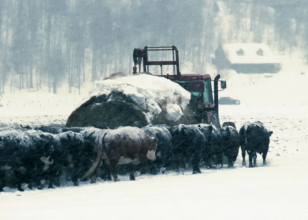 Prepare yourself before the winter storm
