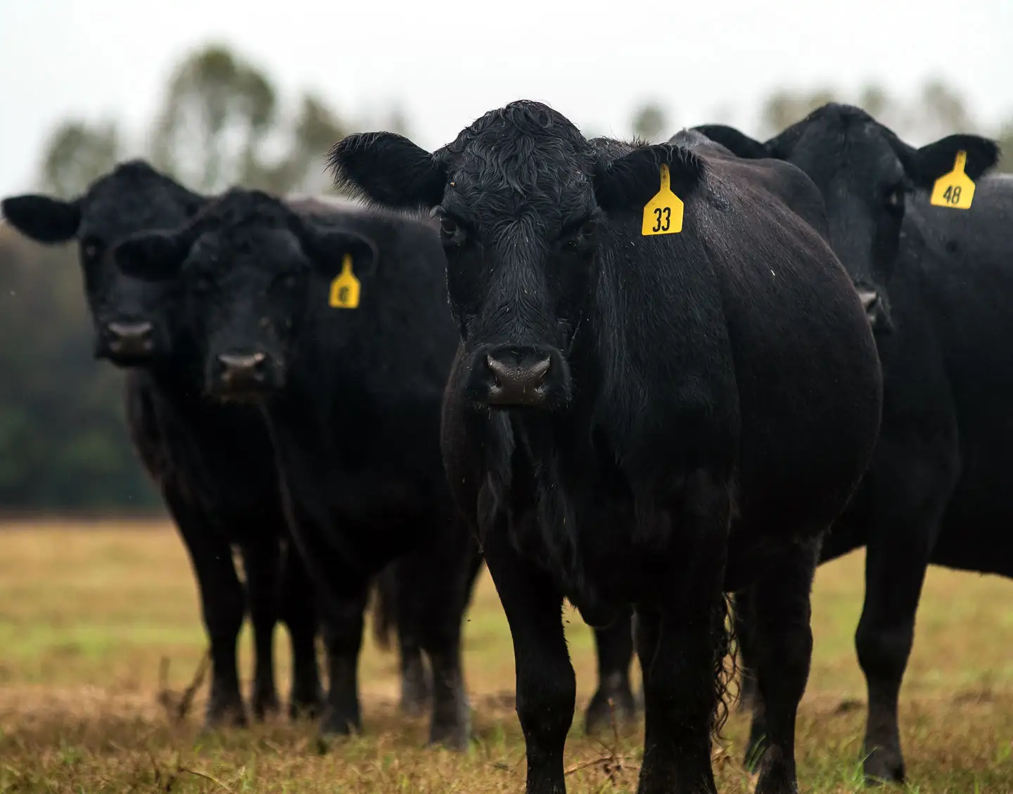On Target: Next breeding season starts now