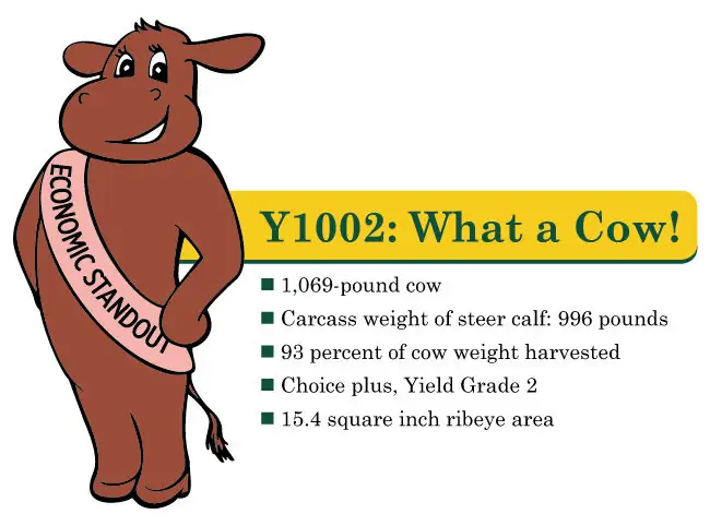 BeefTalk: Economic greats — 93 percent of cow’s weight harvested