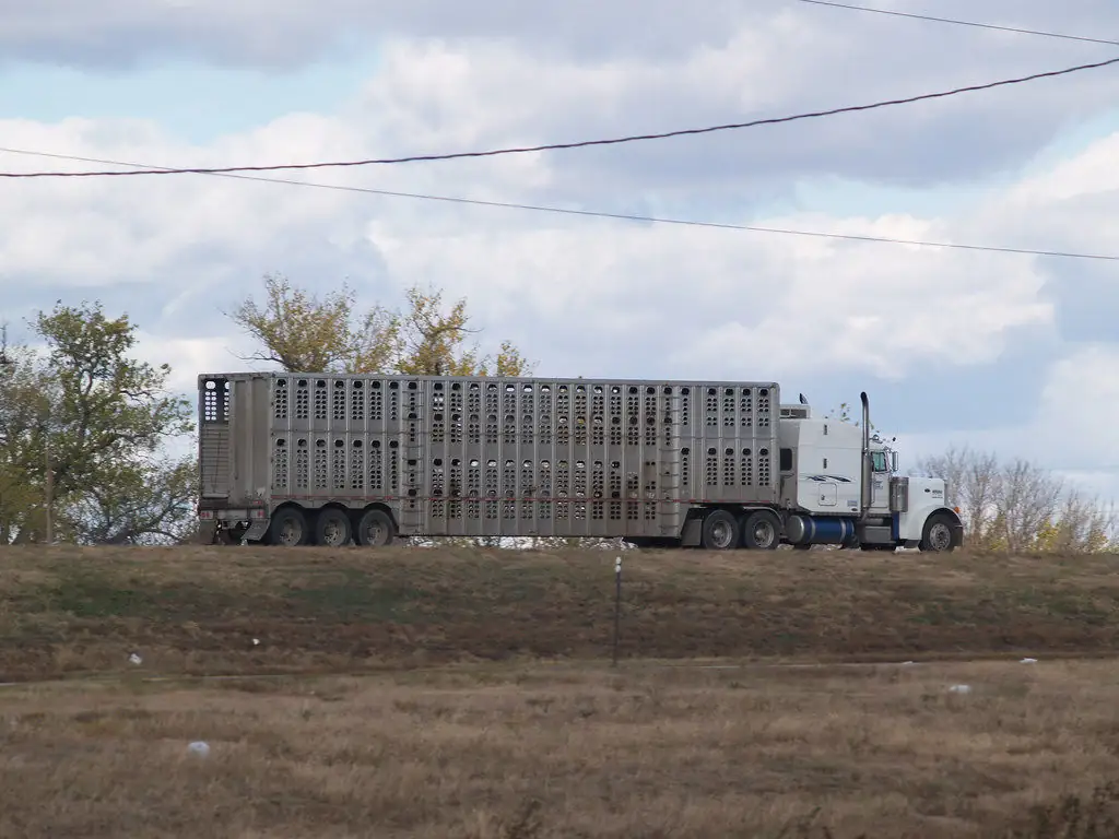 Permanent ELD exemption proposed