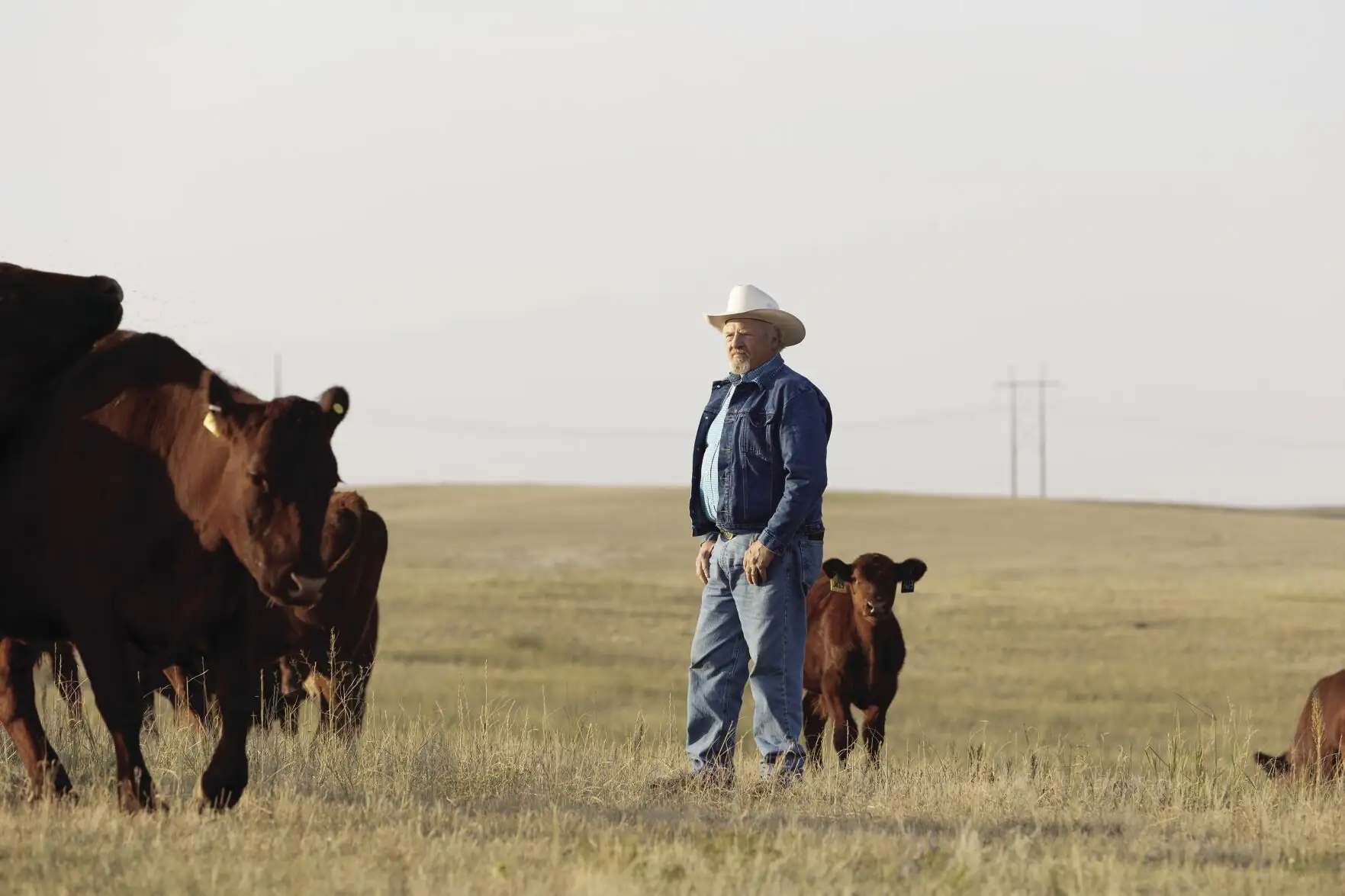 A stewardship mindset earns River Bend Ranch 2022 BQA Cow-Calf Award