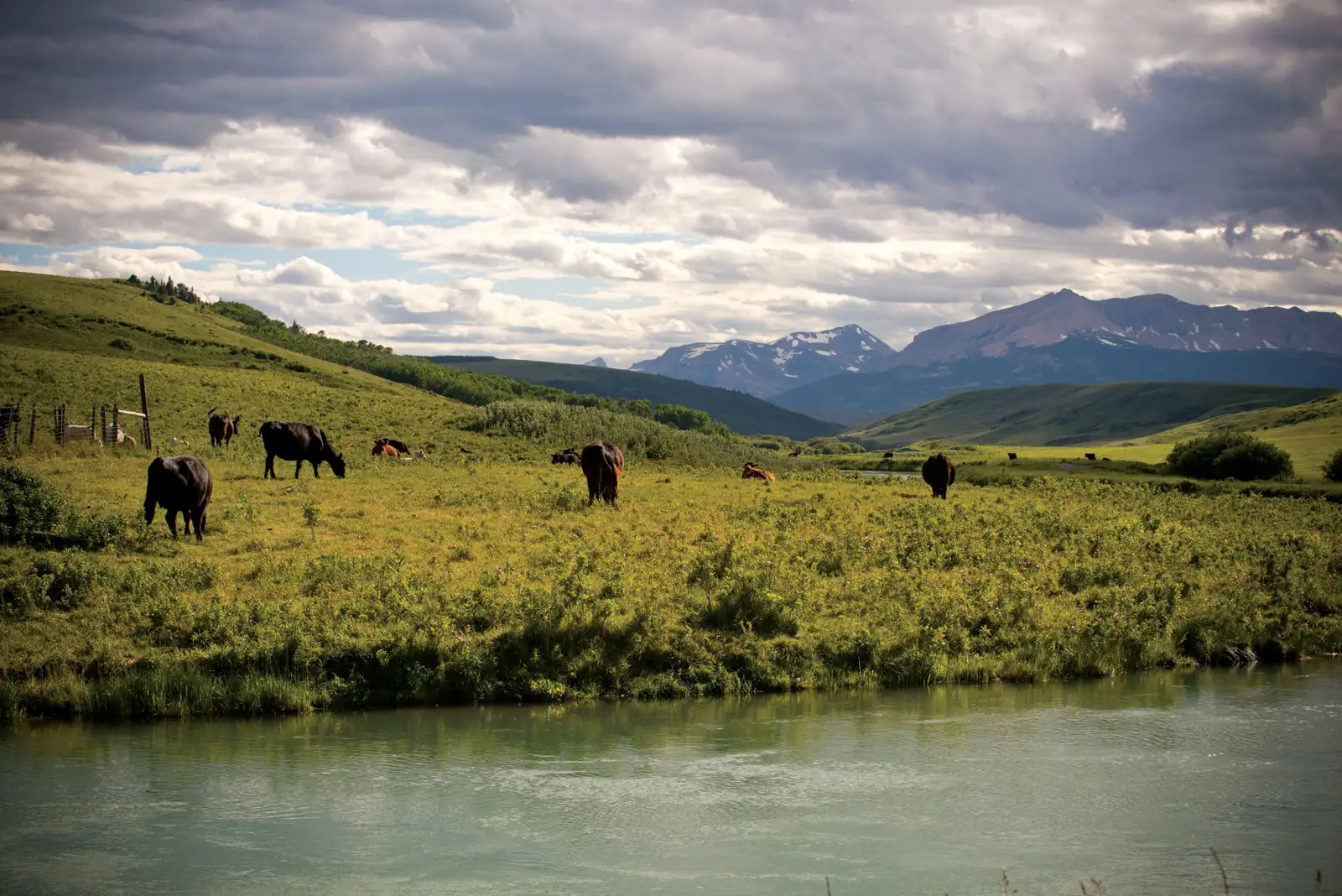 UC ANR receives $1.5M NIFA grant for climate-smart agriculture