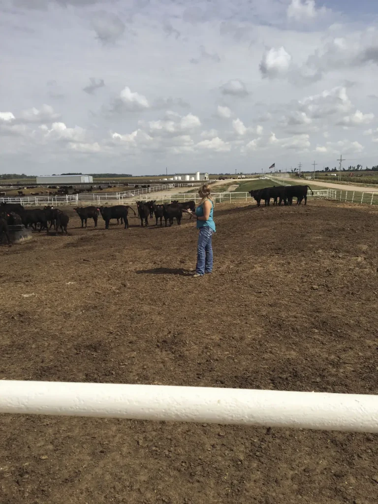 Pictured is the Ward Feed Yard at Larned