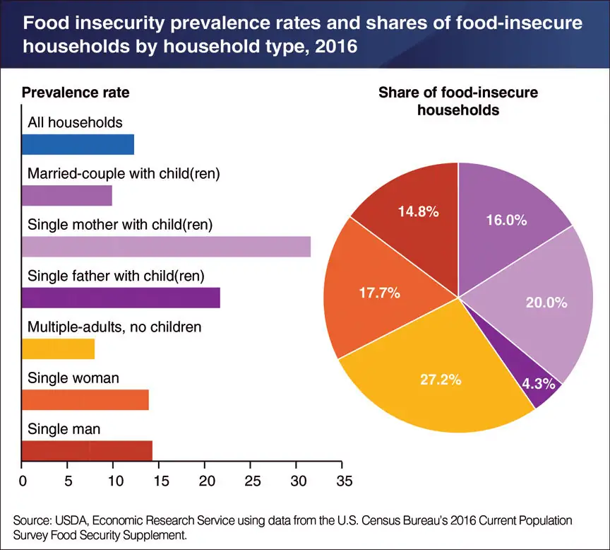 Multiple-adult households without children account for over a quarter of U.S. food-insecure households