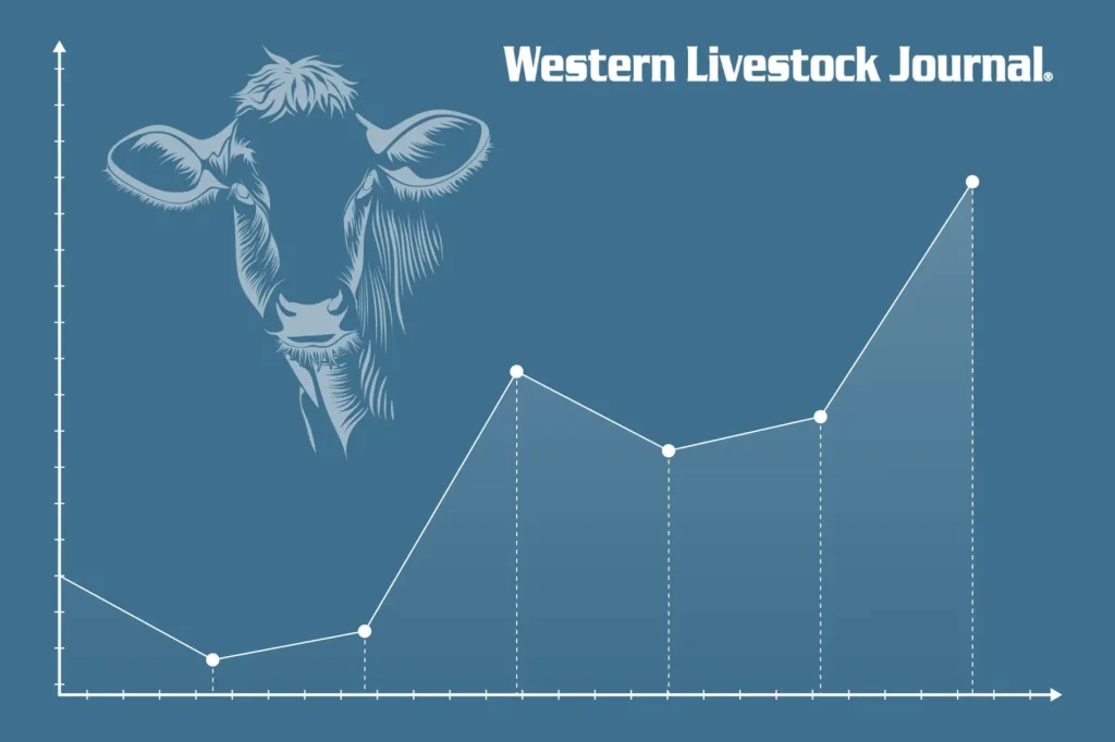 Markets graphic - generic