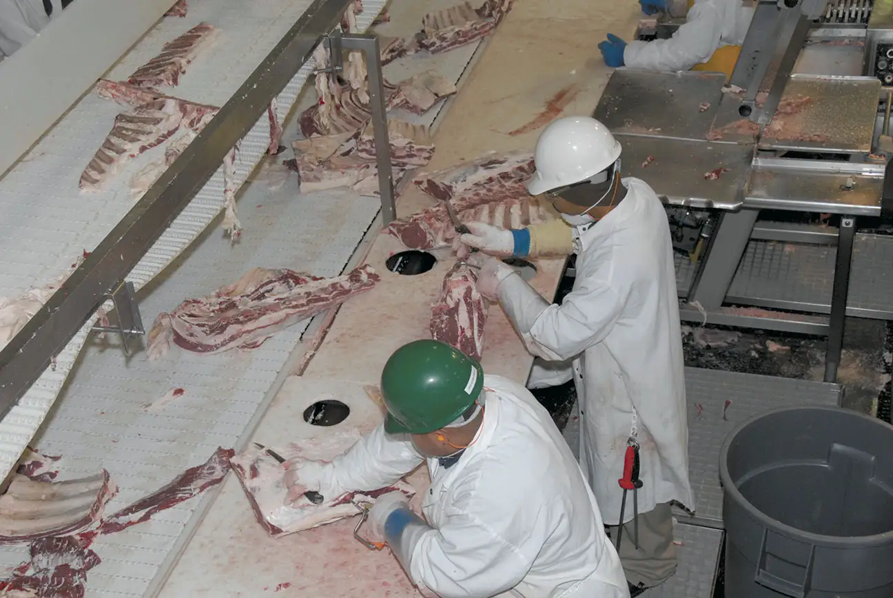 Story Short: Processors sued for wage fixing