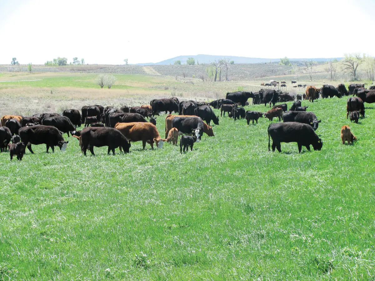PLC honors Colorado rancher, longtime Idaho BLM leader