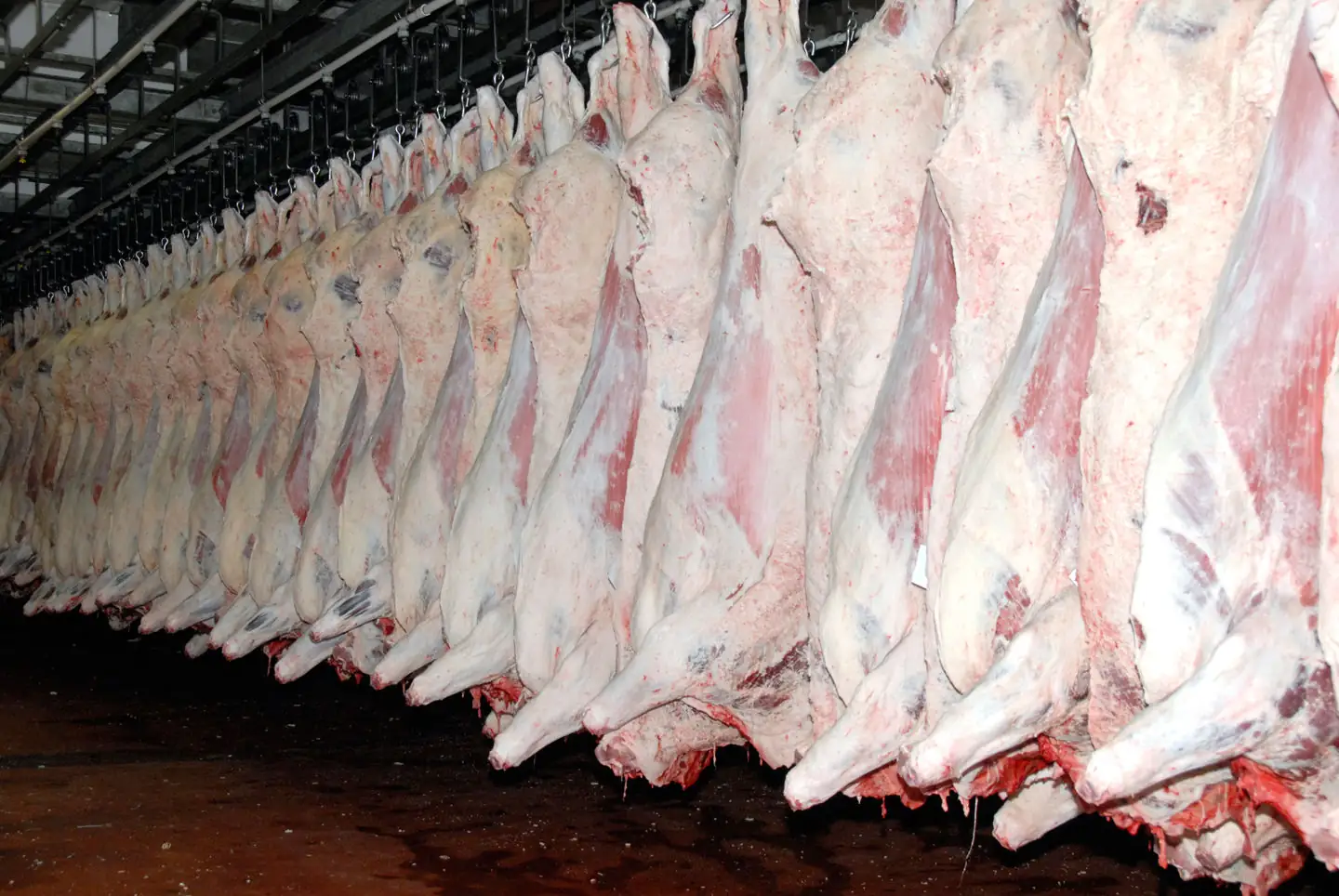 Legal Ledger Brief: Wastewater woes for Kane Beef