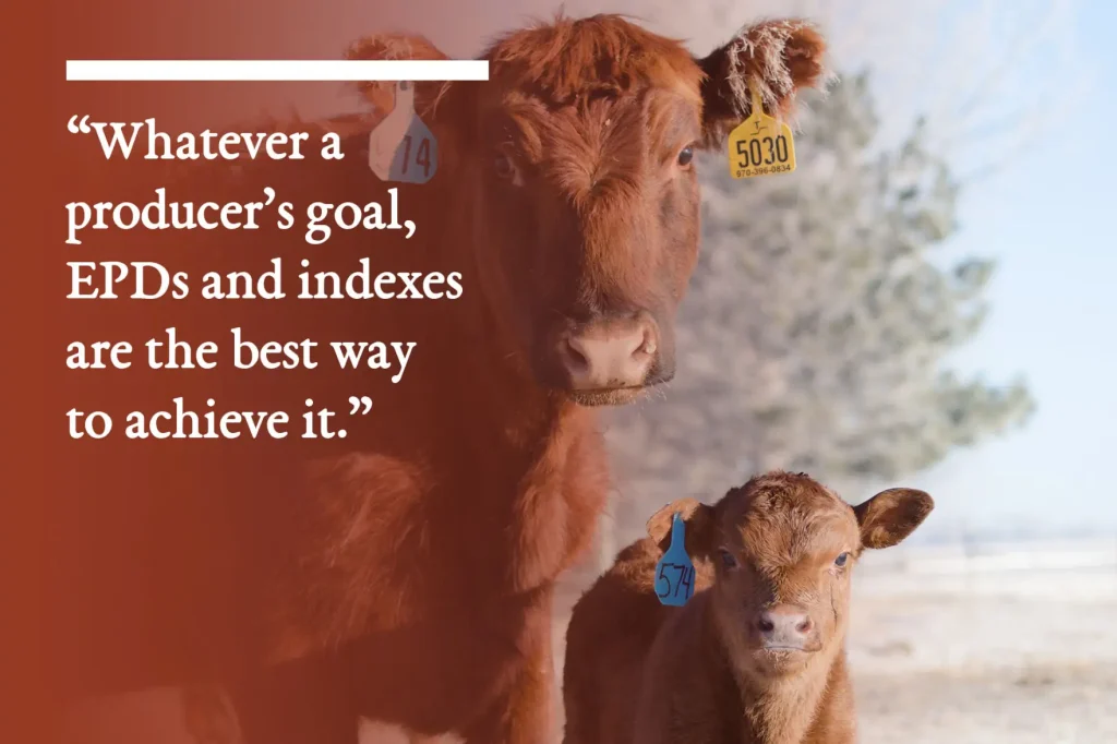 As EPDs and other breeding tools get more complicated