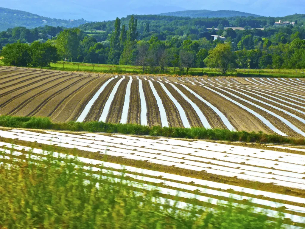 NAFTA changes or pull out could harm ag