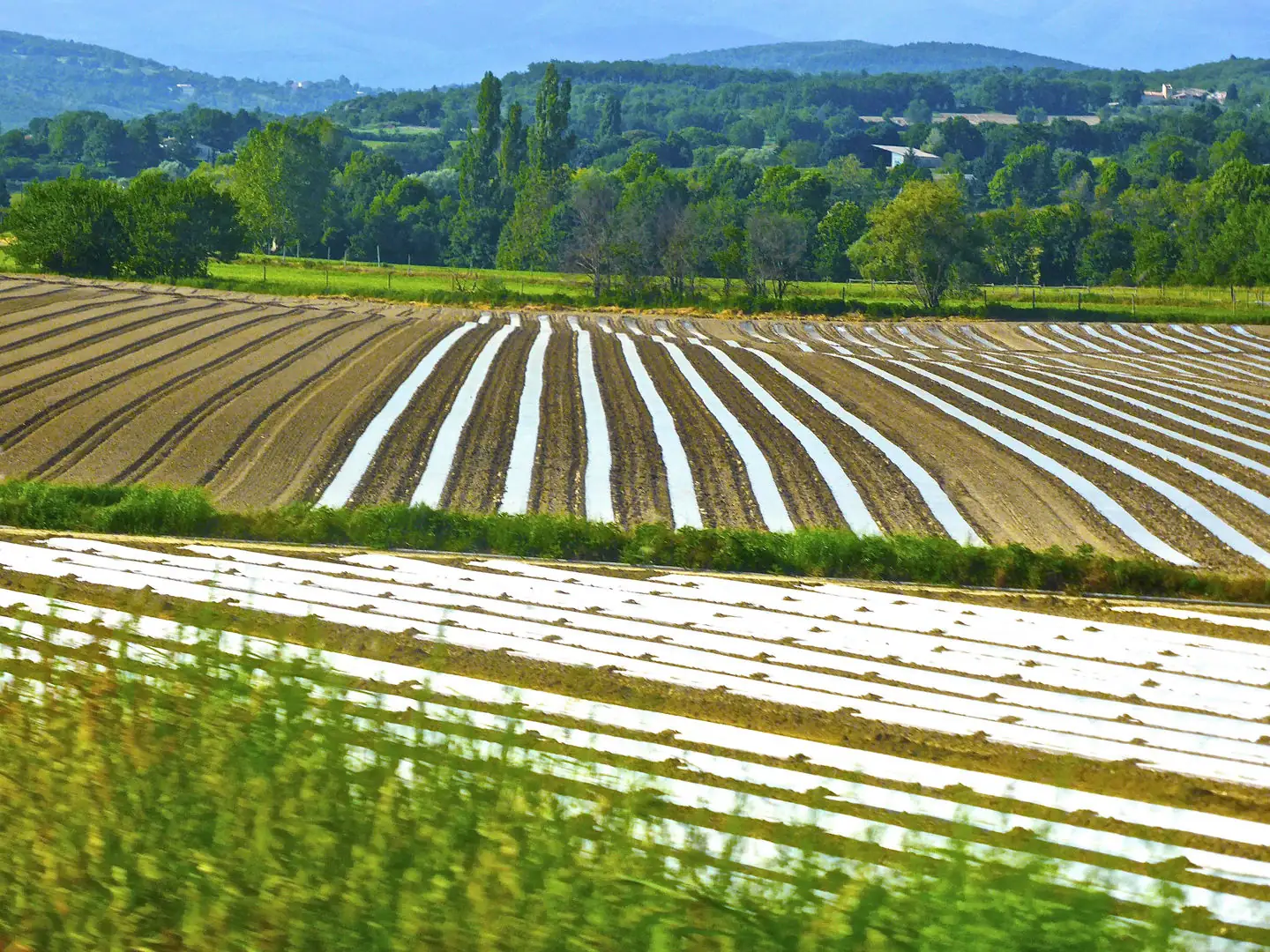 NAFTA changes or pull out could harm ag