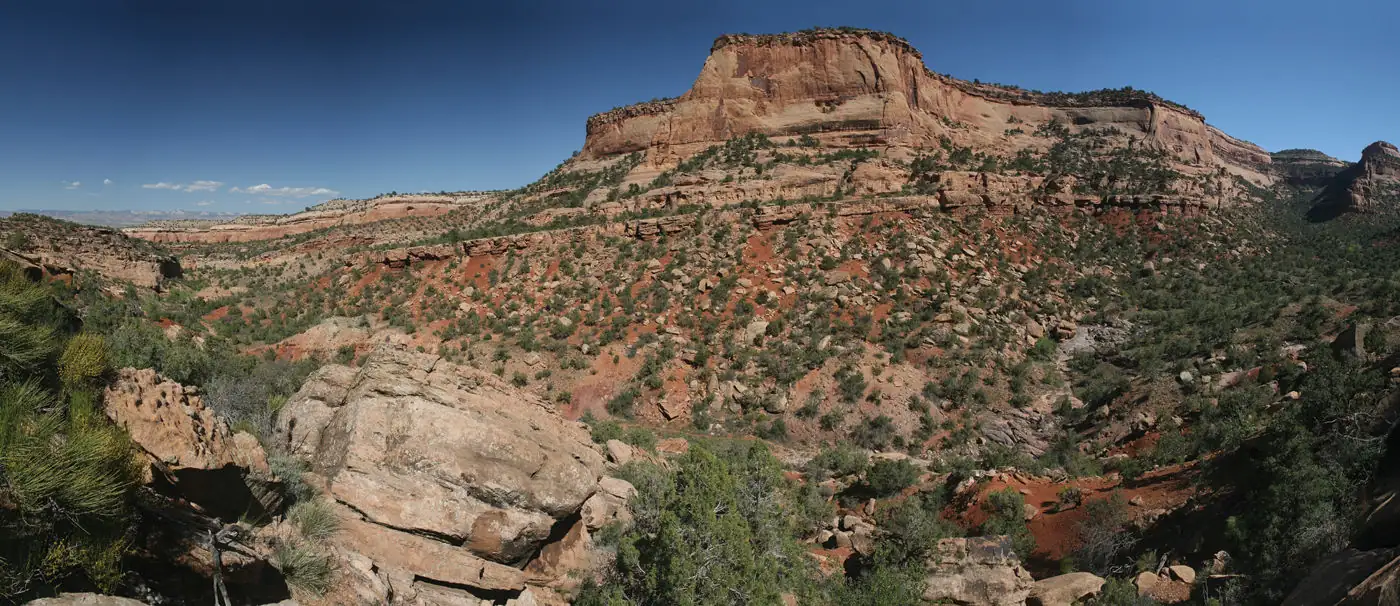 Southwest, Southern Plains real estate is a seller’s market