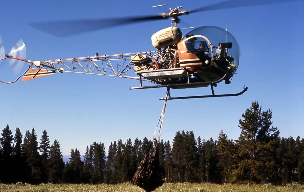 An anesthetized grizzly bear is airlifted from the Yellowstone region in 1970. Zinke has proposed “translocating” grizzly bears captured from other parts of the country into the North Cascades ecosystem.