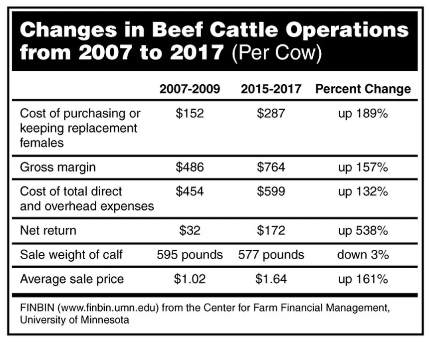 BeefTalk: Is the cow-calf enterprise keeping pace?