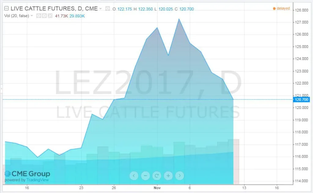 A chart showing the recent decline in the December live cattle contract values. Chart as of Friday
