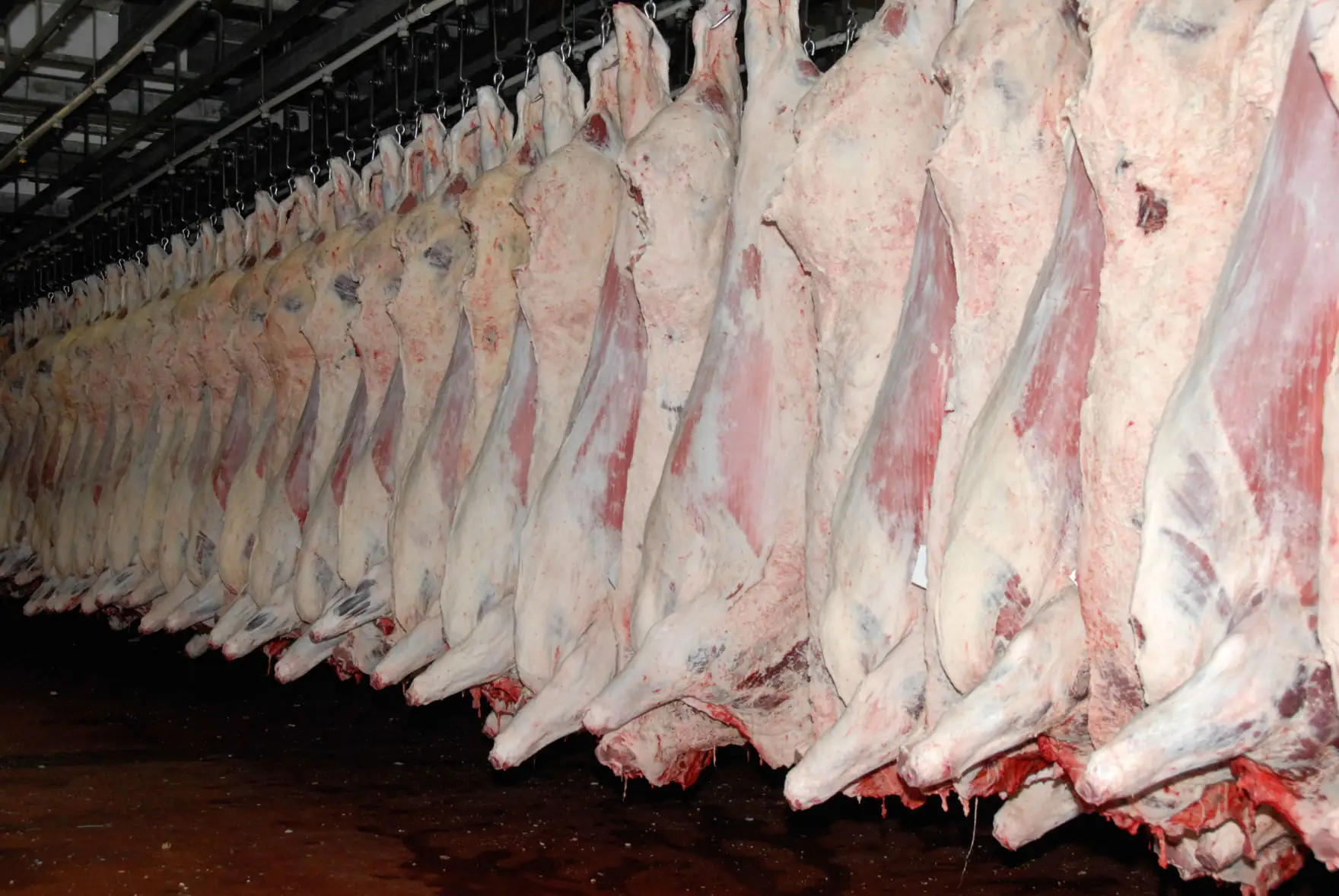 The value of red meat exports to U.S. corn, soybeans