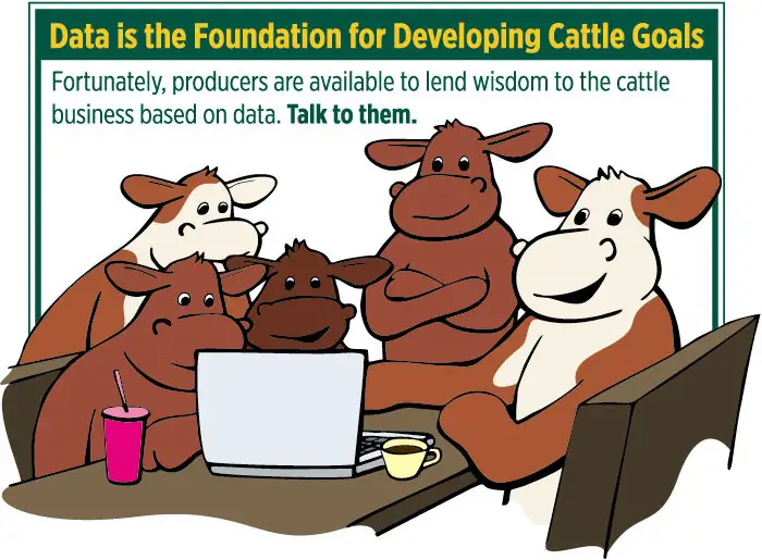 BeefTalk: Data are the foundation for developing cattle goals
