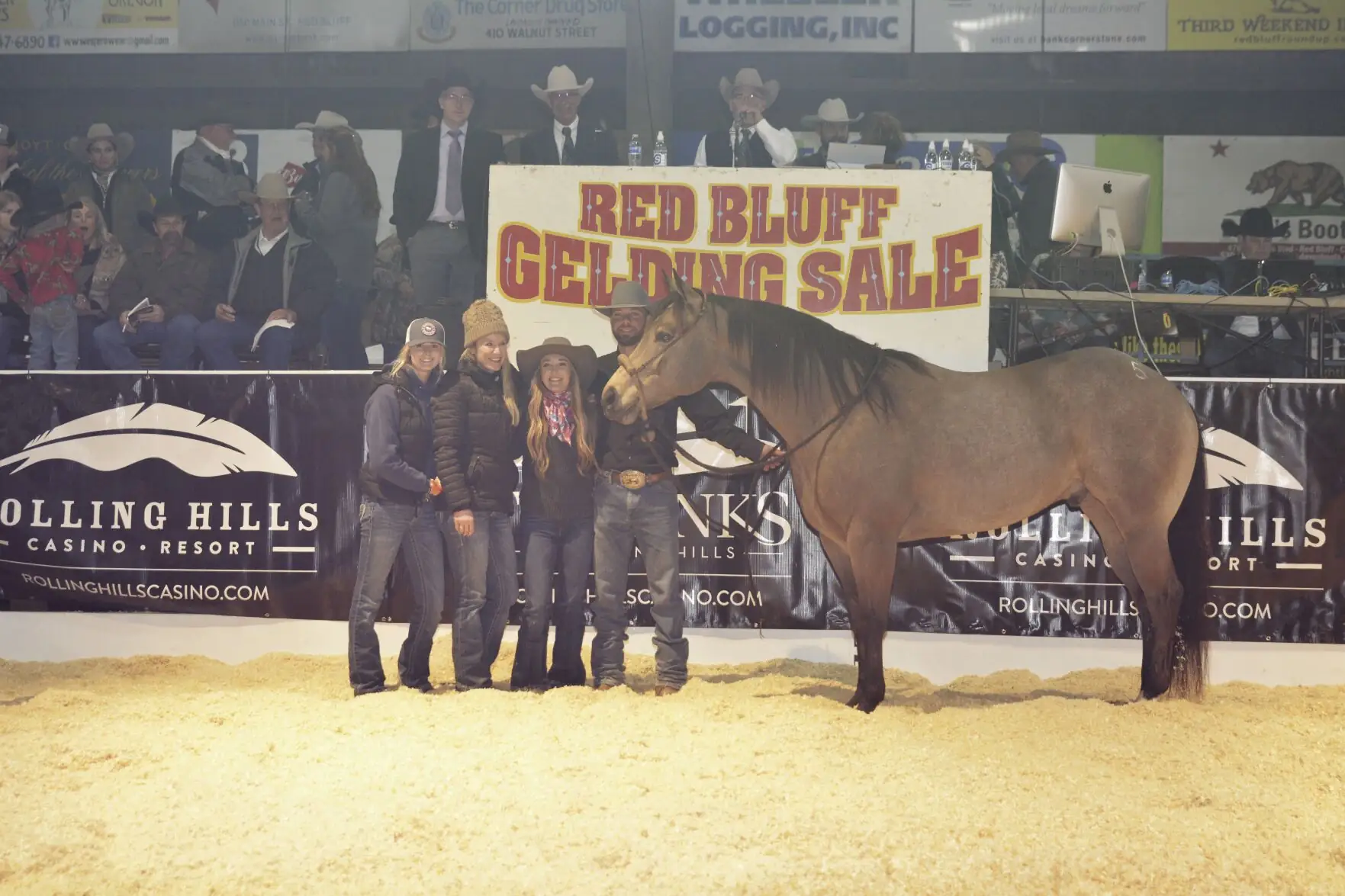 59th Annual Red Bluff Gelding Sale results