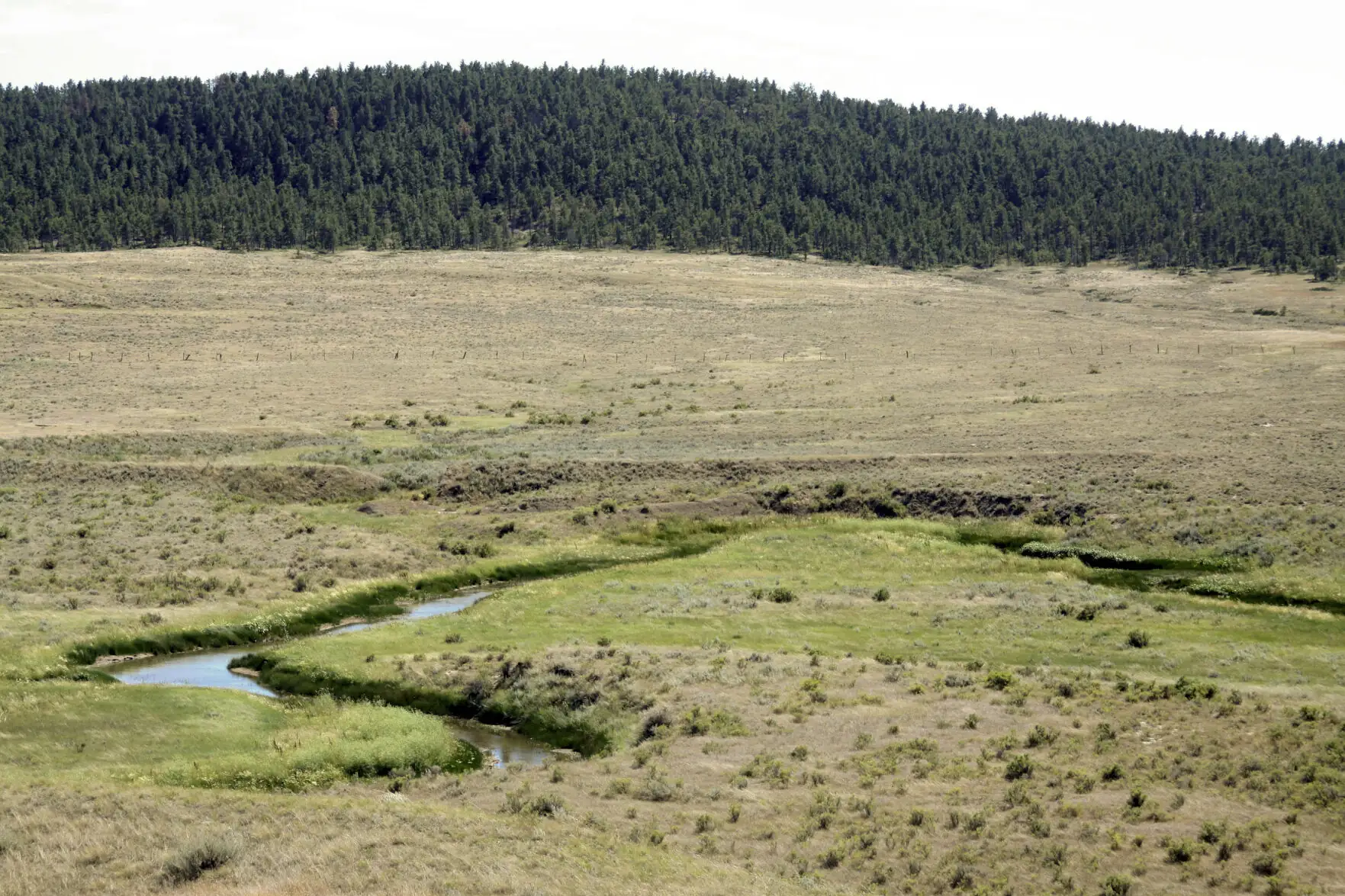 Legal Ledger Brief: Wetland mitigation banks funding