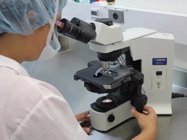 A scientist reviews a specimen under a microscope.