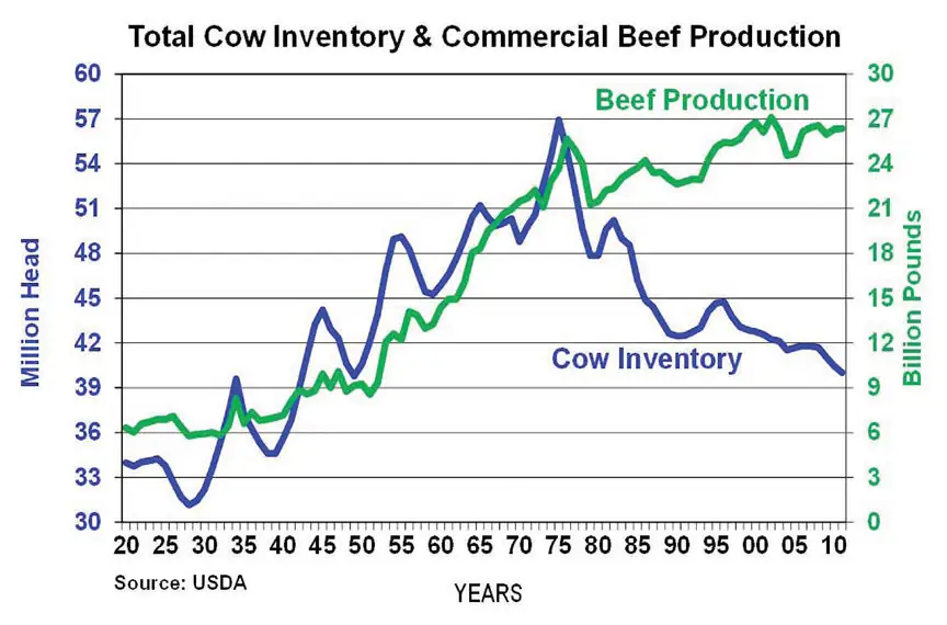 Comparison of the U.S. beef cow inventory to the annual beef production estimates in billions of pounds. Chart from USDA