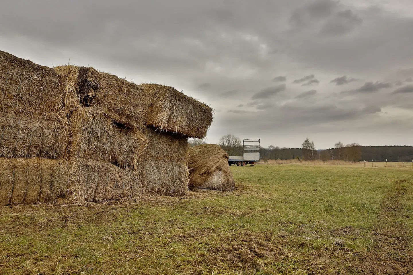 OR hay donation efforts for those affected by wildfires
