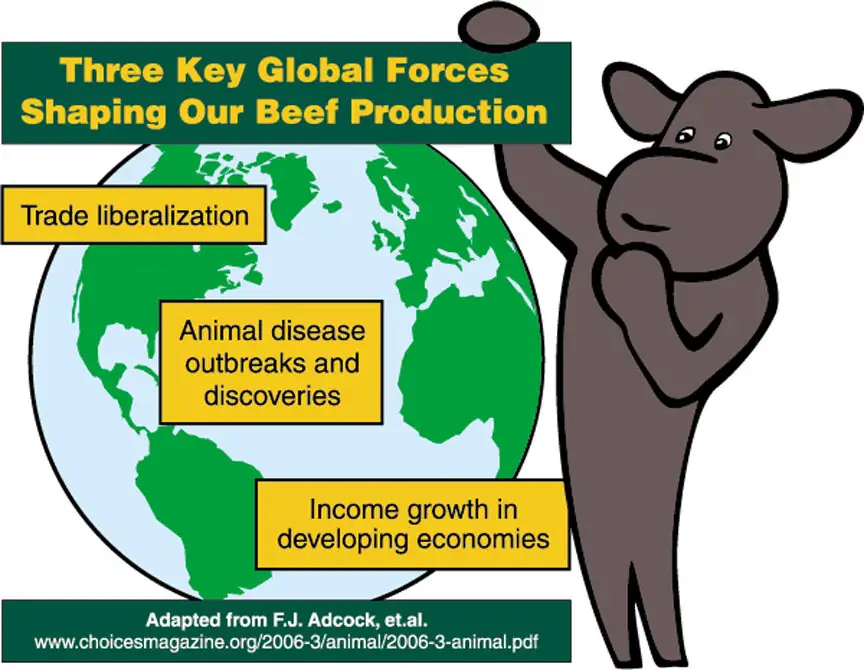 BeefTalk: Future of beef revisited—global competitiveness