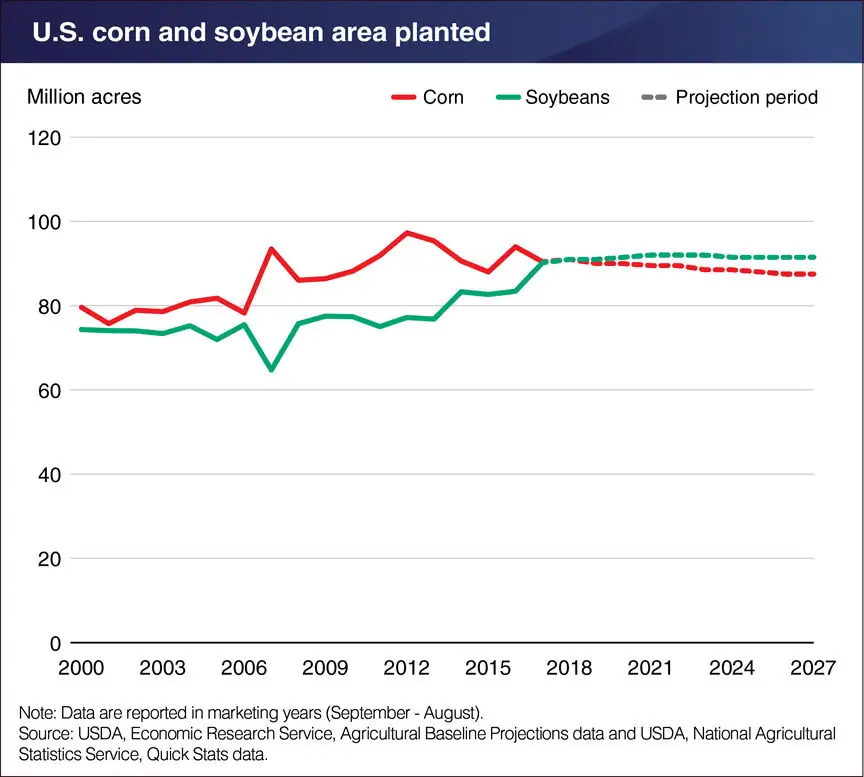 Soybean acres to surpass corn for the first time