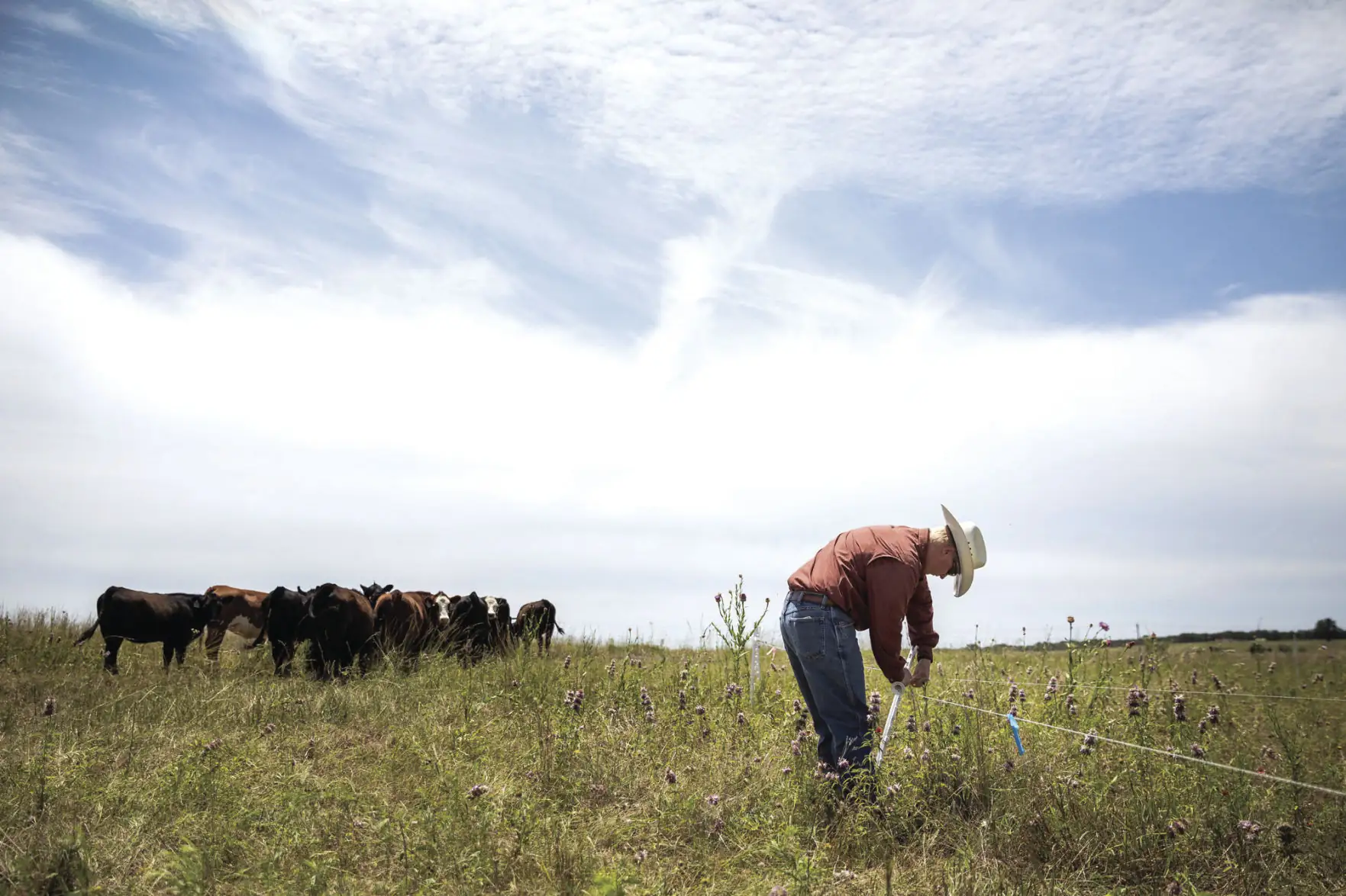 The difference between organic and regenerative agriculture