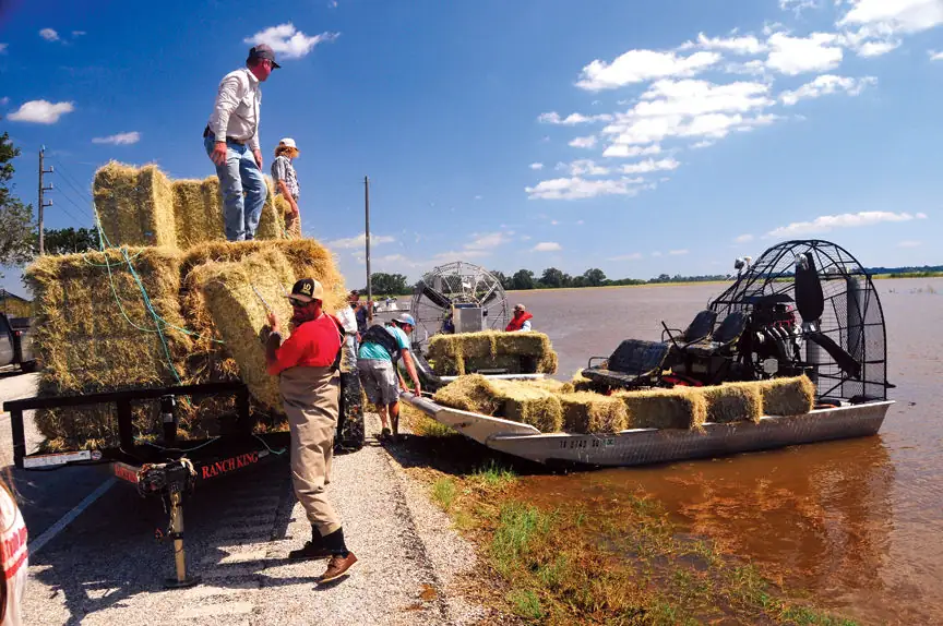 Men load small hay bales onto an airboat to take to cattle stranded by flooding from Hurricane Harvey.