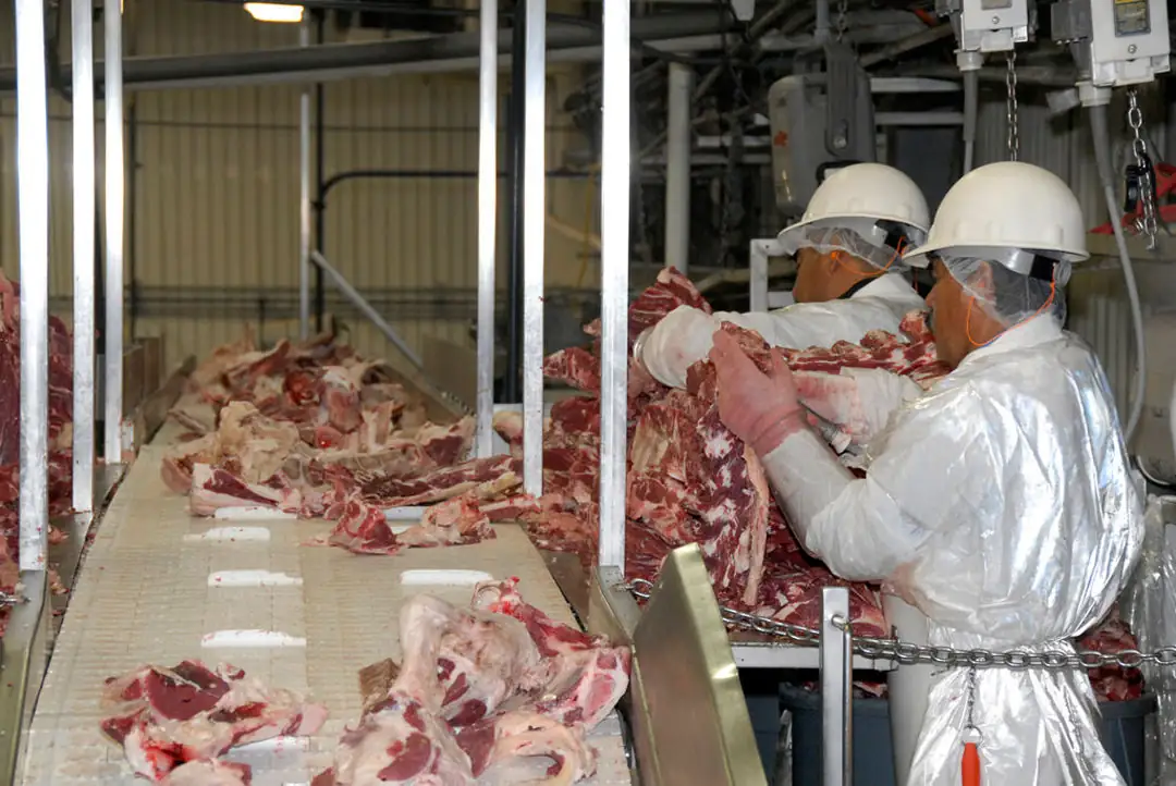 Lawmakers, R-CALF round up signatures about antitrust laws