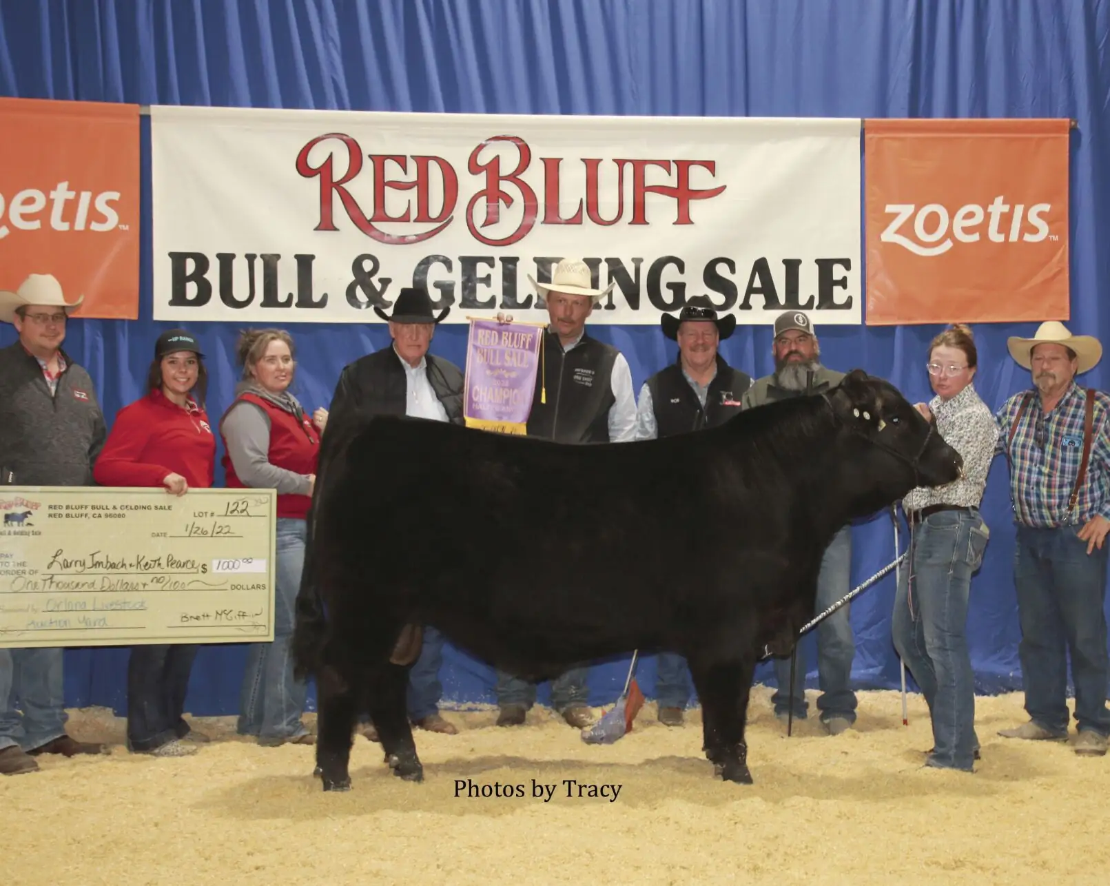 The 2022 Red Bluff Bull, Gelding and Stock Dog Sale champions
