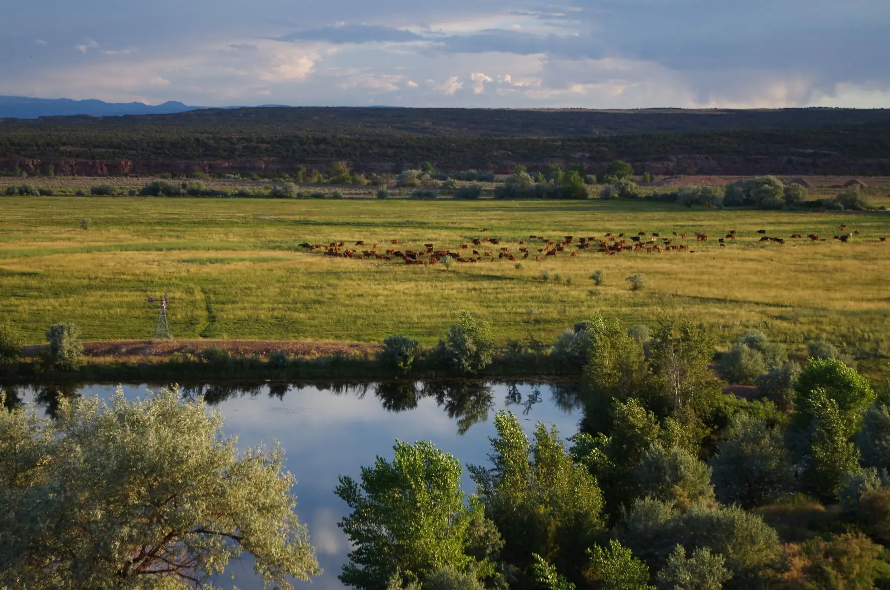 Myrin Ranch receives UT Leopold Conservation Award