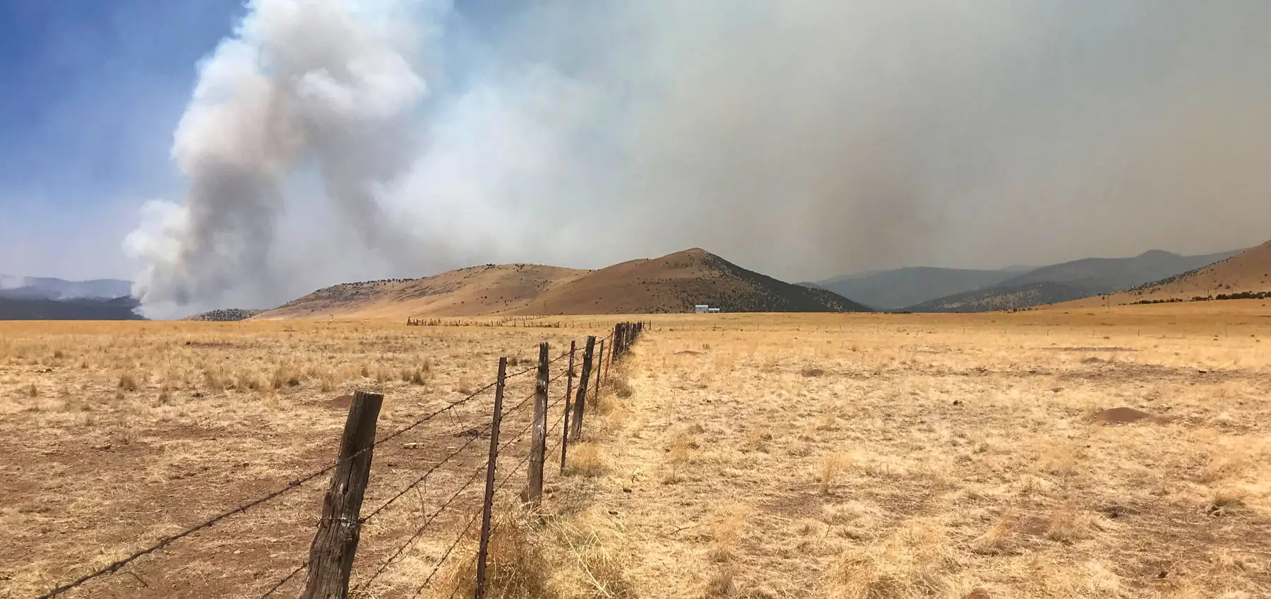 Be aware of livestock trauma after a wildfire