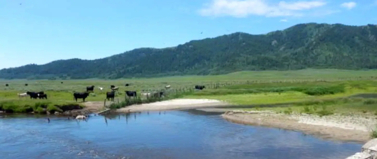 Small efforts can significantly improve riparian health