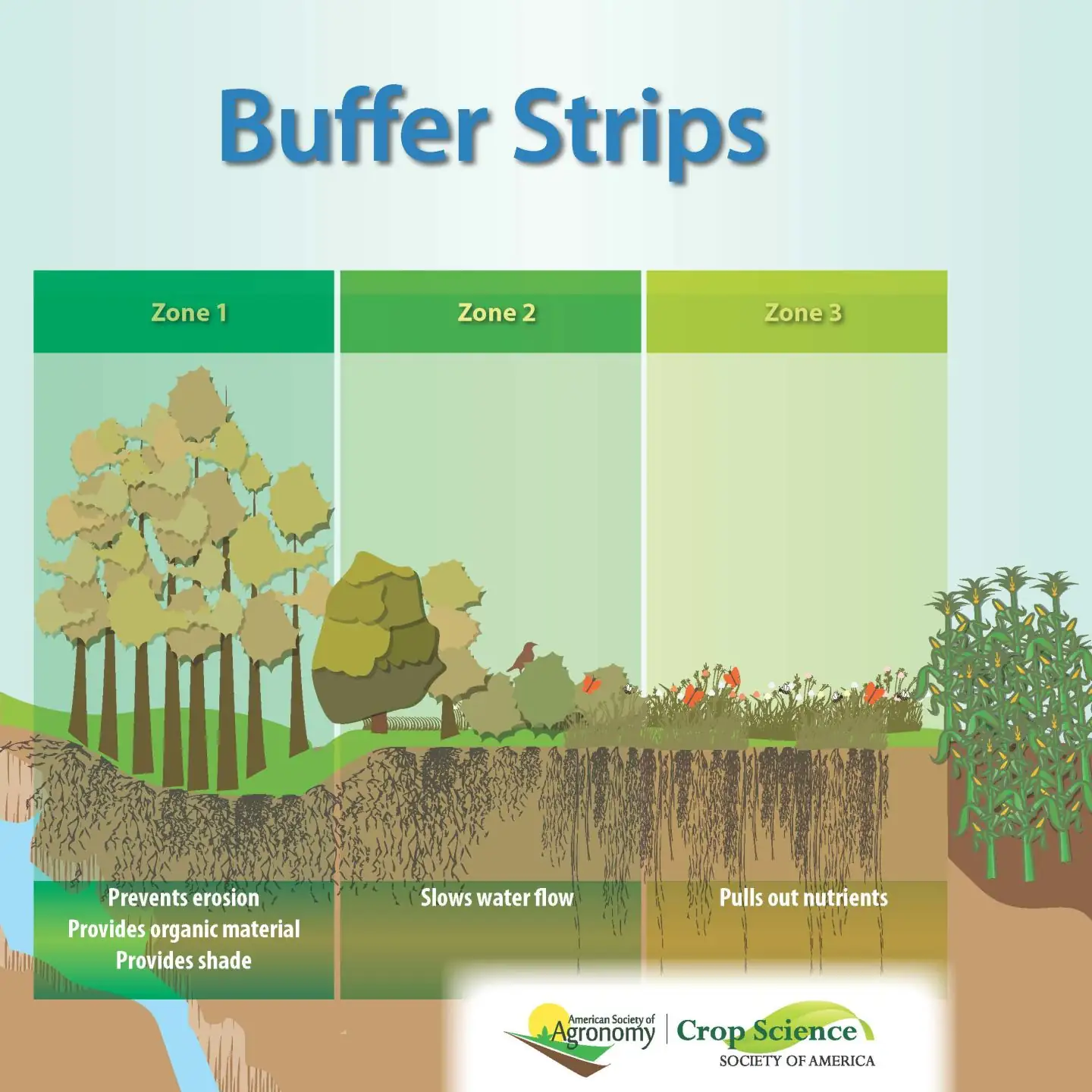 Protecting water quality with planting zones