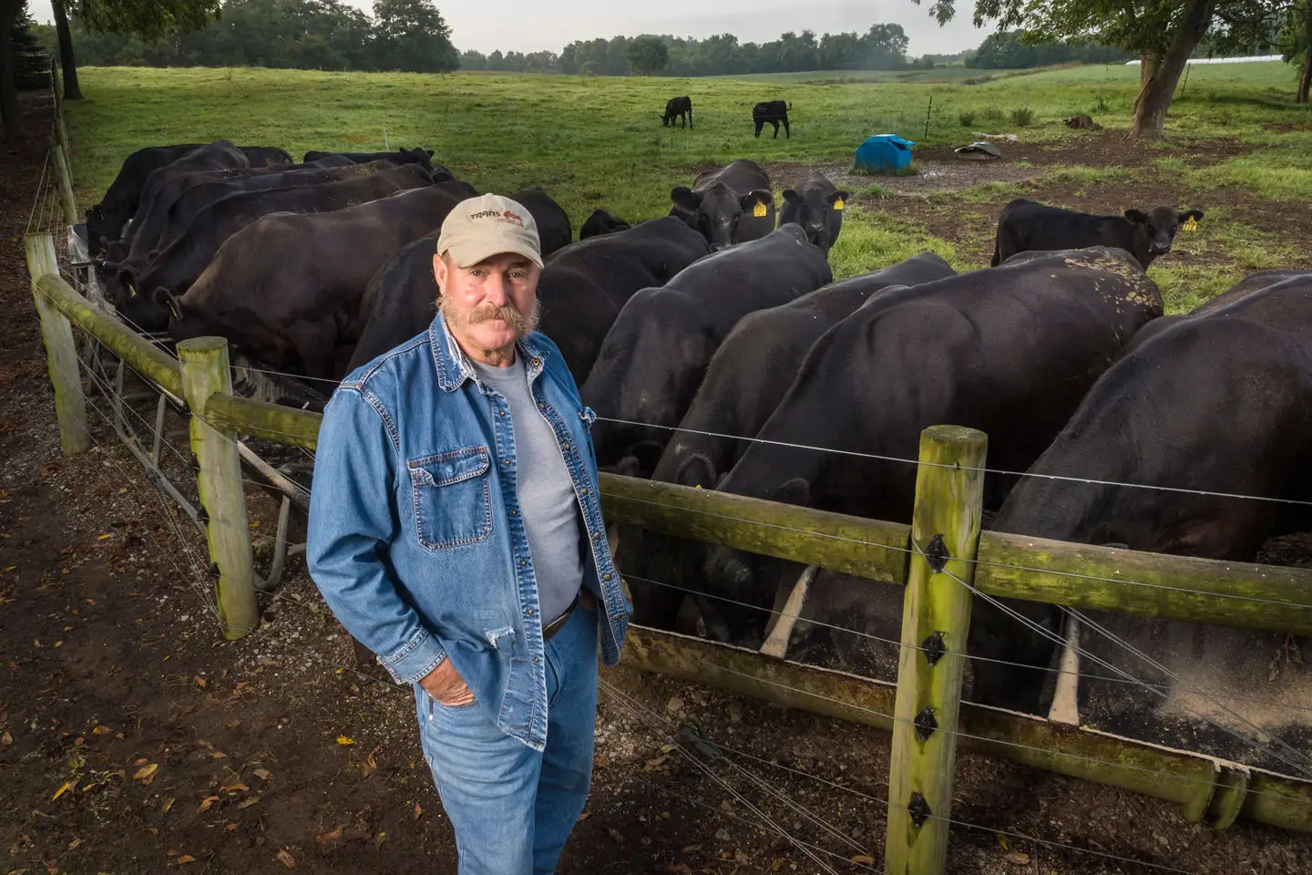 New records set for U.S. beef export value in 2017