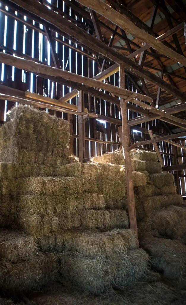 Hay is stored at Chesapeake Bay Foundation Clagett Farm on Feb. 21