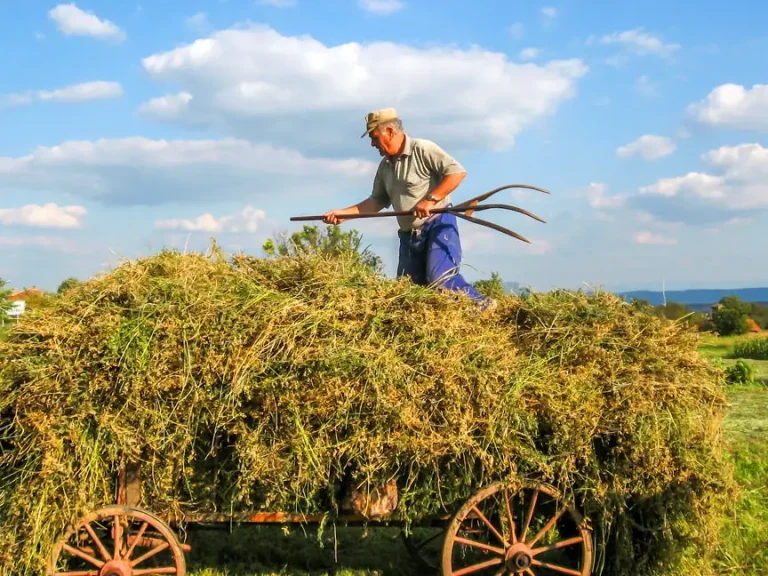 Congress defines farming in various ways