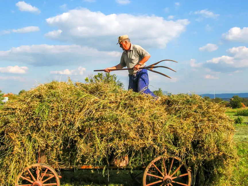 Congress defines farming in various ways