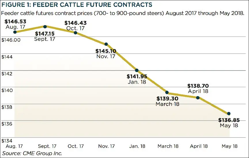 Options to consider when marketing this year’s calves