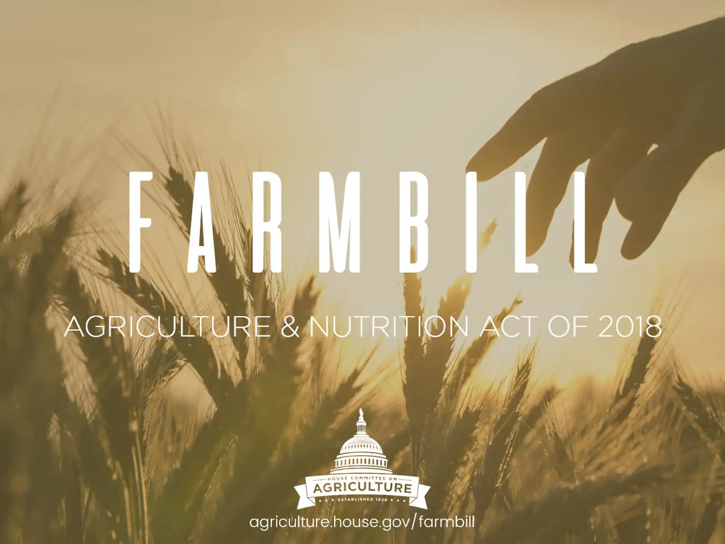 Farm bill advances from committee