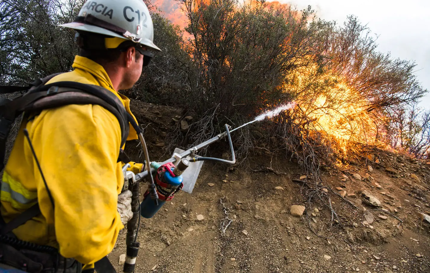Biden meets with Western governors on wildfire threat